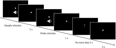 Neural Oscillations Associated With Auditory Duration Maintenance in Working Memory in Tasks With Controlled Difficulty